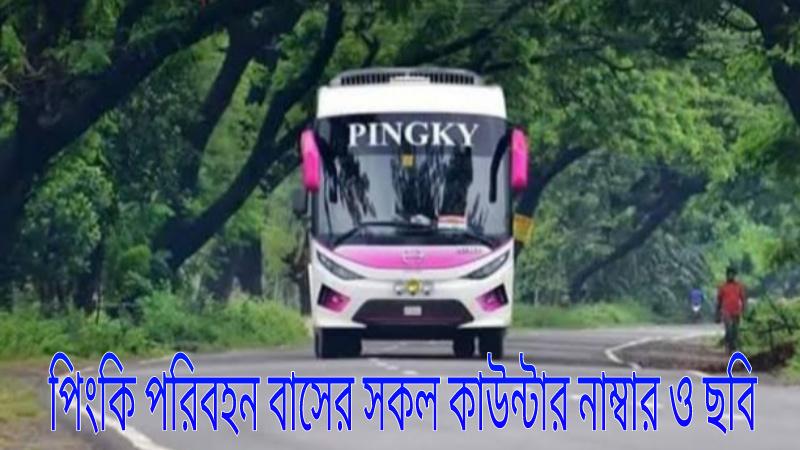 all-counter-numbers-and-pictures-of-pinky-transport-bus