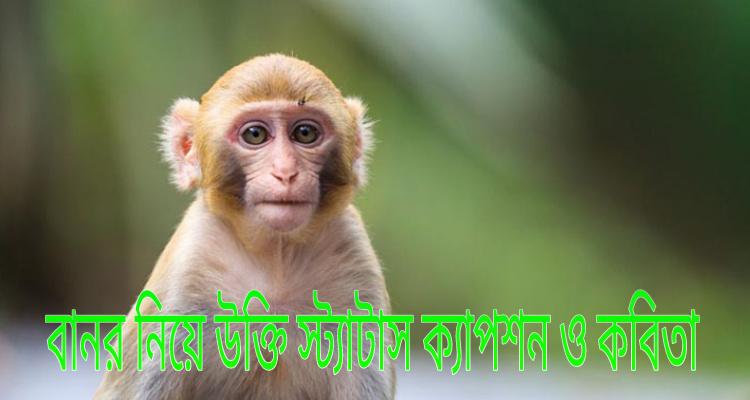 quotes-sayings-status-captions-and-poems-about-monkeys